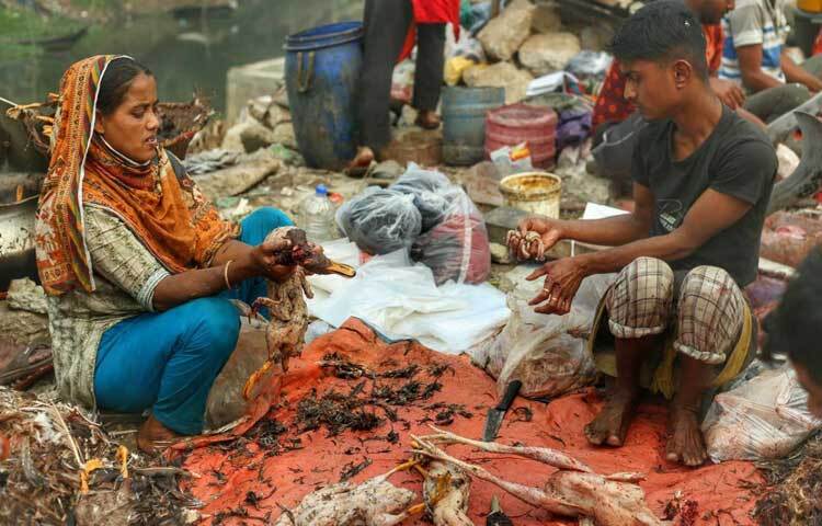বাজারের পাশেই দেশি ৫০, চীনা ৮০ ও রাজহাঁস ১০০ টাকা করে ড্রেসিং করা হচ্ছে।