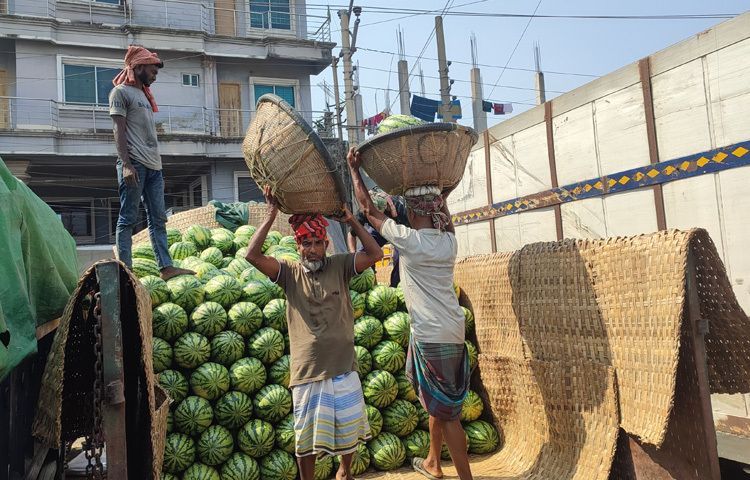 অন্যান্য বছর এ সময়ে বাজারে অপরিপক্ব তরমুজের আধিক্য দেখা গেলেও এবার পরিপক্ব তরমুজই বাজারে বেশি।