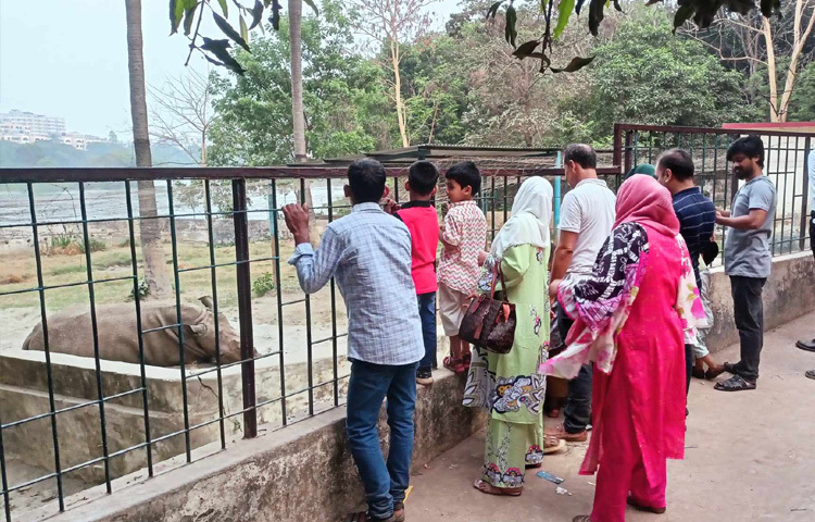 সরেজমিনে দেখা যায়, হাজার হাজার মানুষ ঘুরতে এসেছেন।