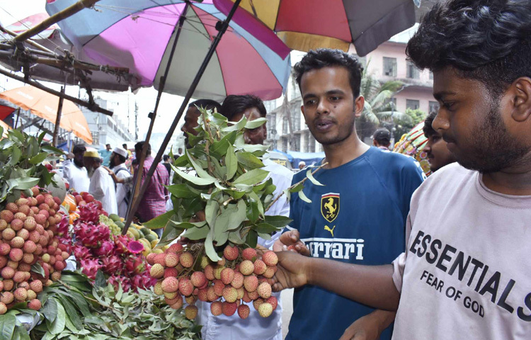 গ্রীষ্মকালীন মিষ্টি, সুস্বাদু ও রসালো ফল লিচু। শুধু খেতেই সুস্বাদু নয়, ভিটামিন ও খাদ্যশক্তির অন্যতম উৎস মৌসুমি এ ফল।