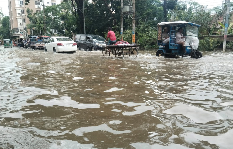 সকালে নজরুল এভিনিউ সড়কে গর্তে পড়ে রিকশার চাকা বাঁকা হয়ে গেছে। এতে দুইশ টাকা জরিমানা লেগেছে। অথচ অন্যান্য দিনের মতো আজ সড়কে মানুষ নেই বললেই চলে। ভাড়া পাওয়া যাচ্ছে না।