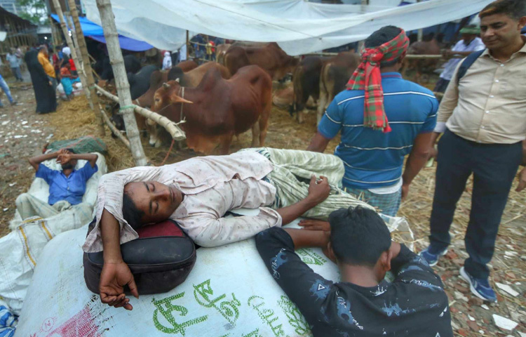 ধর্মীয় অনুভব, পারিবারিক প্রস্তুতি আর হাটের চেনা আবহ মিলিয়ে এই জায়গাটা যেন কেবল কেনাবেচার নয়, বরং উৎসবেরই একটি রঙিন অঙ্গন।