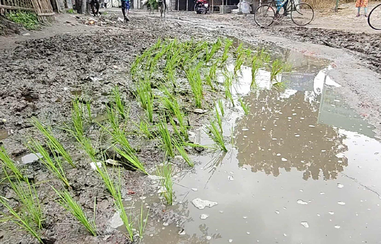 এ বিষয়ে জানতে চাইলে জামবাড়ি ইউনিয়ন পরিষদের বর্তমান চেয়ারম্যান মো. আফাজ উদ্দিনকে একাধিকবার ফোন করা হলেও সাড়া মেলেনি।