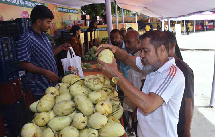 রাজধানীর ধানমন্ডির রবীন্দ্র সরোবরে শুরু হয়েছে তিন দিনব্যাপী ‘প্রাণ ম্যাংগো ফেস্ট’। আমের স্বাদ ও ঘ্রাণ ছড়িয়ে দিতে উৎসবমুখর পরিবেশে চলছে এ আয়োজন। আগামী ১২ জুলাই পর্যন্ত চলবে আমের এ উৎসব। ছবি: জাগো নিউজ