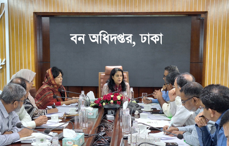 রাজধানীর আগারগাঁওয়ে বন অধিদপ্তরে বন বিভাগের উন্নয়ন বিষয়ক এক সভায় সভাপতির বক্তৃতা করেন পরিবেশ, বন ও জলবায়ু পরিবর্তন এবং পানি সম্পদ উপদেষ্টা সৈয়দা রিজওয়ানা হাসান। ছবি: পিআইডি