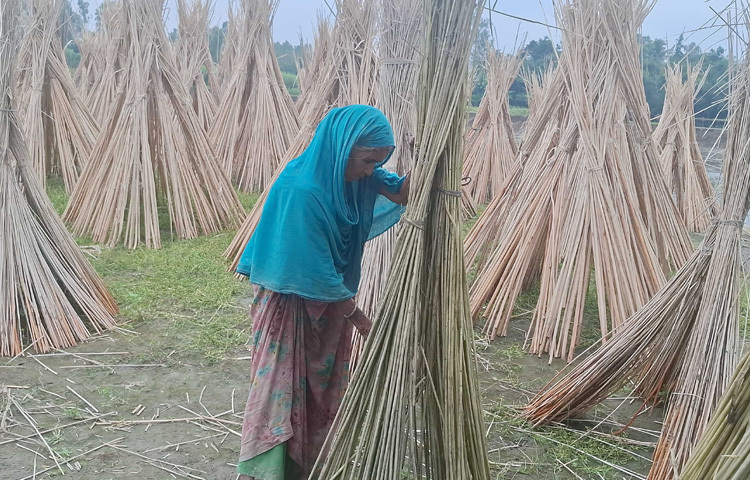 পরিবারের অন্যরা এসব কাজে সহযোগিতা করছেন। বিশেষ করে নারীদের এ কাজে দেখা গেছে। এরই মধ্যে অনেকেই ভালো দামে বিক্রিও করছেন।