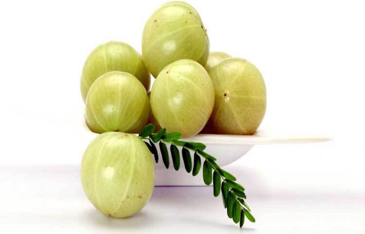 যারা নিয়মিত সর্দি-কাশির সমস্যায় ভোগেন, তারা নিয়মিত আমলকি খেলে উপকার পাবেন। সহজে সর্দি-কাশির সমস্যা দেখা দেবে না।