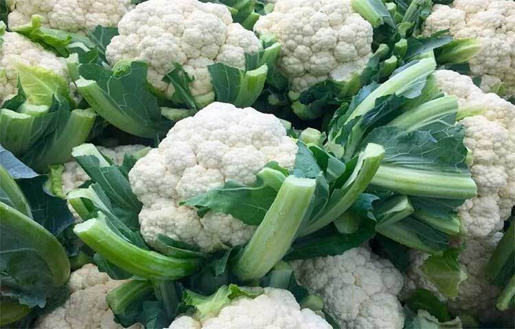 গবেষণার তথ্যমতে, ফুলকপি মস্তিষ্ক ভালো রাখে, ওজন কমায় এবং সর্দি-কাশিসহ নানা রোগ প্রতিরোধ করে।