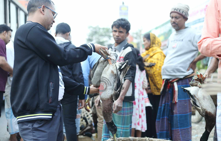 শীতের বিকেলে রাজধানীর বনশ্রীর মেরাদিয়ায় জমে উঠেছে হাঁসের বাজার। ছবি: মাহবুব আলম