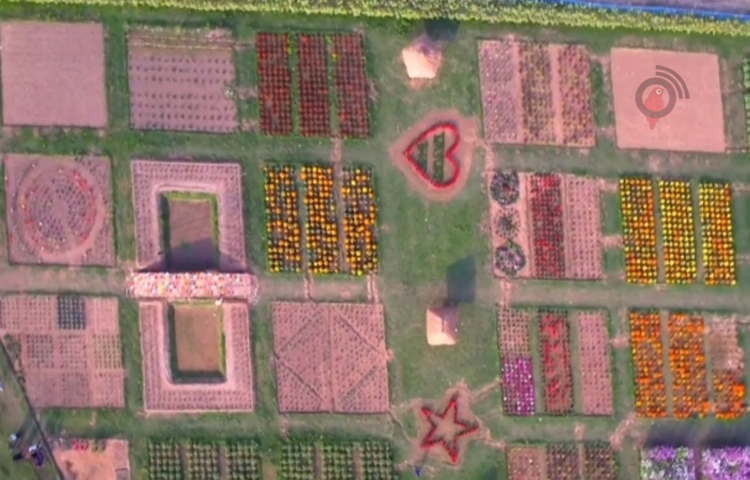 বাগান মালিক ও উদ্যোক্তা মো. মিজান জানান, পড়ালেখা পাশাপাশি বেকার না থেকে আয় উৎস হিসেবে এই নার্সারি গড়ে তুলেছেন যা এরই মধ্যে সুনামগঞ্জের মানুষের নজর কেড়েছে। ছবি: লিপসন আহমেদ