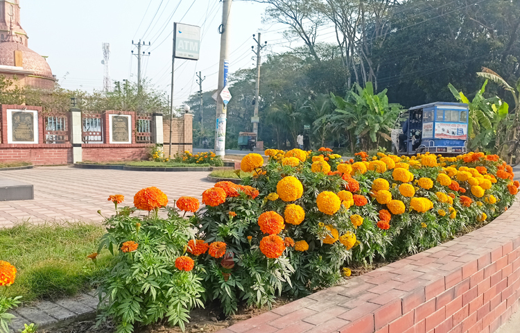 আমরা প্রতিবছরের মতো এবারও পুরো লাইন জুড়ে গাঁদা ফুলের বাগান করেছি। যা আমাদের পুলিশ লাইনকে শোভাবর্ধন করছে। আমরা নিয়মিত ফুলগুলোকে পরিচর্যা করে থাকি। ছবি: বিধান মজুমদার অনি