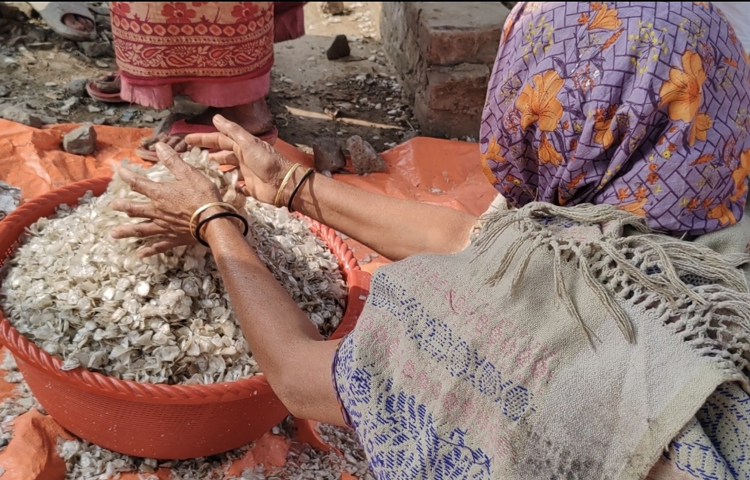 মাছ কাটা শ্রমিকেরা সারাদিন বাজারে মাছ কাটার কাজ করলেও আঁশ সংগ্রহকারীরা সকাল ৬টা থেকে ৭ টার মধ্যেই কাজ শেষ করেন। বড় বড় রেস্টুরেন্ট, মেছ কিংবা বিয়ের আয়োজনের জন্য একসঙ্গে অনেক মাছ ক্রয় করেন দায়িত্বপ্রাপ্তরা। সেই সব মাছ থেকেই অল্প সময়ে অনেক আঁশ সংগ্রহ করা যায়। বড় সাইজের মাছের আঁশ কাজে লাগলেও ছোট সাইজের মাছের আঁশ ফেলে দেওয়া হয়। প্রতি ২০ কেজি মাছ কাটলে পাওয়া যায় ৫ কেজির মতো আঁশ। ছবি: জিহাদুল ইসলাম