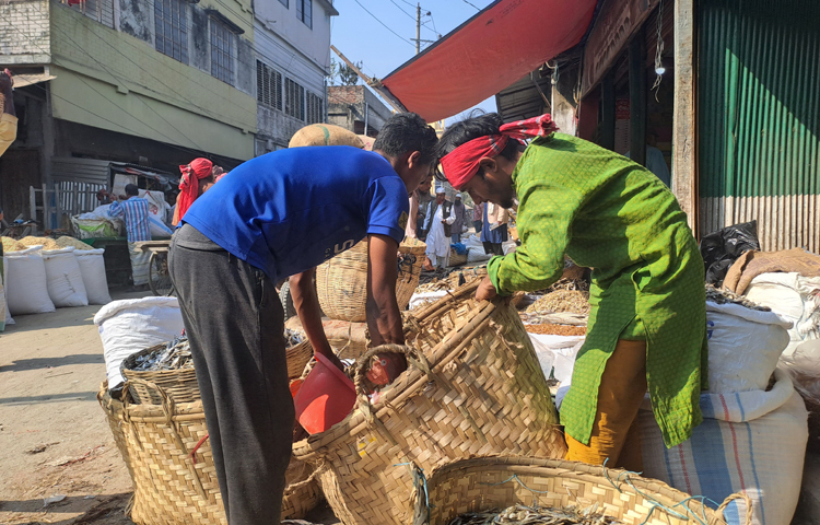 বাজার কমিটি সূত্র জানায়, জামালপুর ছাড়াও ময়মনসিংহ, নরসিংদী, নারায়ণগঞ্জ, পাবনা, সিরাজগঞ্জ, বগুড়া, রংপুর, দিনাজপুরের বিভিন্ন অঞ্চলের ক্রেতা-বিক্রেতাদের সমাগম হতো এই হাটে। ছবি: নাসিম উদ্দিন