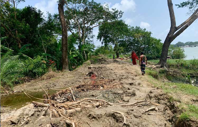ঝড়ে লন্ডভন্ড গাছপালা। ছবি: আরিফুর রহমান