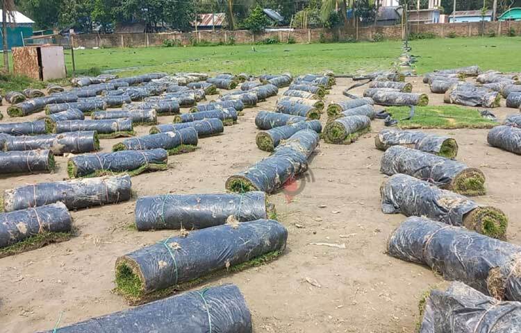 বাড়ির আঙিনা ও বিভিন্ন স্থানের সৌন্দর্য বাড়াতে এসব ঘাস সংগ্রহ করছে সৌখিন মানুষ। ছবি: শরীফুল ইসলাম