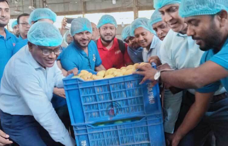 ১ জুন রাজশাহীর গোদাগাড়ী বরেন্দ্র ইন্ডাস্ট্রিয়াল পার্ক ও নাটোরের একডালায় প্রাণ এগ্রো লিমিটেডের কারখানায় এই আম সংগ্রহ ও পাল্পিং কার্যক্রমের উদ্বোধন করা হয়। ছবি: জাগো নিউজ