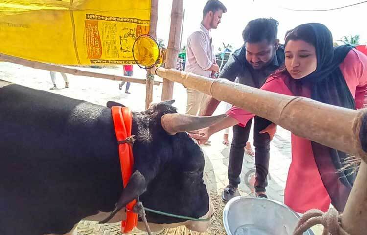 পর্বতের মাথায় হাত বুলিয়ে দিচ্ছেন হাটে আসা ক্রেতারা। ছবি: মাহবুব আলম