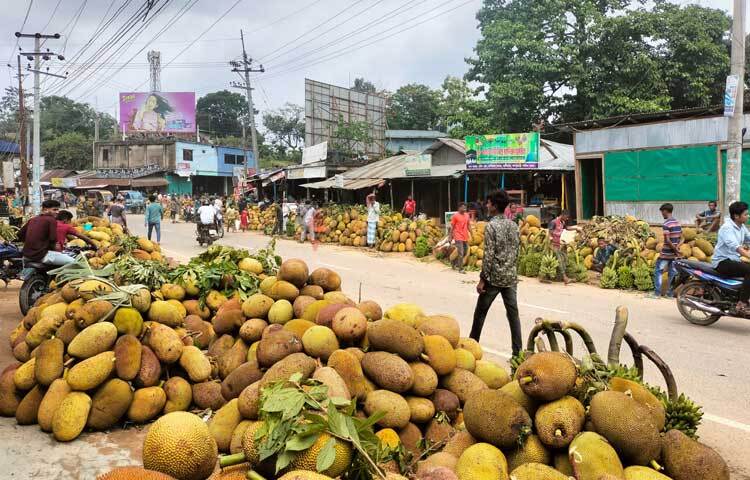 মাটিরাঙ্গায় জড়ো হন নোয়াখালী, চাঁদপুর, ব্রাহ্মণবাড়িয়া ও কুমিল্লাসহ দেশের বিভিন্ন জেলার পাইকারি ব্যবসায়ীরা। তারা ট্রাকে ট্রাকে কাঁঠাল নিয়ে যান সমতলের জেলাগুলোতে। ছবি: মুজিবুর রহমান ভুইয়া