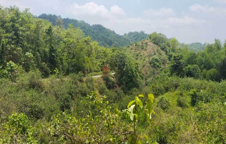 নিরিবিলি এই সড়কের প্রায় পুরোটাই পাহাড়ি পথ। সড়কের দু’পাশেই ঘন জঙ্গলে ভরা। কখনো সড়ক ছেড়ে নামলেই চোখে পড়ে পাহাড়ি ঝরনার কলতান। ছবি: এম মাঈন উদ্দিন