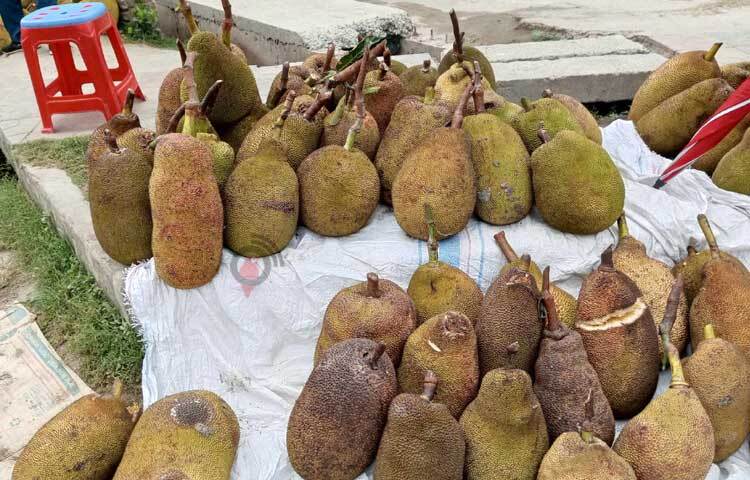 ছোট-বড় স্তূপ করে রাখা আছে কাঁঠাল। ছবি: আলমগীর হান্নান