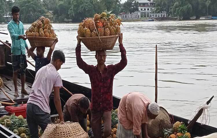পাহাড়ি অঞ্চলের রসে, ঘ্রাণে ও স্বাদে ভরা আনারস এরই মধ্যে সুনামগঞ্জ শহরসহ প্রত্যন্ত এলাকার হাট-বাজারে উঠতে শুরু করেছে। আকারভেদে এসব আনারস ২৫ টাকা থেকে শুরু করে সর্বোচ্চ ৪৫ টাকা বিক্রি করা হচ্ছে। ছবি: লিপসন আহমেদ