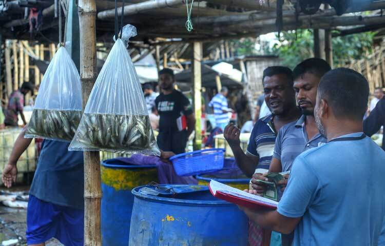 প্রতিদিন ভোর থেকে মেরুল বাড্ডা ডিআইটি প্রজেক্টের মাছের আড়তে বাড্ডা, রামপুরা ও আশপাশের এলাকার মাছ বিক্রেতারা পাইকারি দামে মাছ কিনতে আসেন। ছবি: মাহবুব আলম
