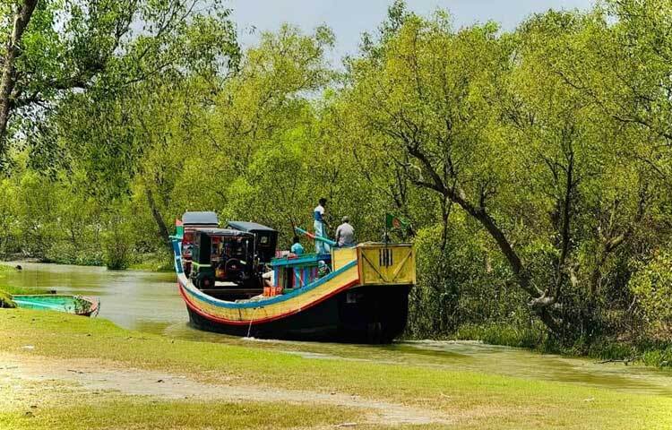 জলরাশি আর কেওড়া বনের মাঝ দিয়ে বয়ে যাওয়া ছোট ছোট খালের চারদিকে ছড়িয়ে আছে কেওড়া গাছের শ্বাসমূল। ছবি: এম মাঈন উদ্দিন