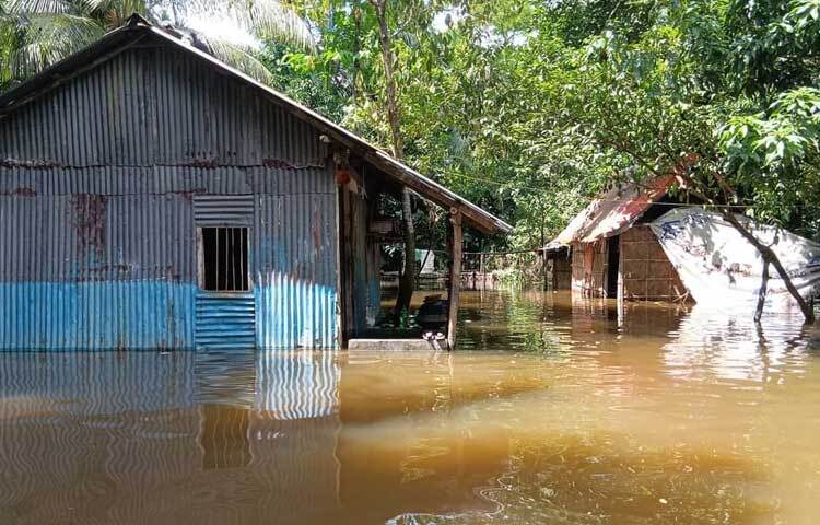 চারদিকে পানি থই থই করছে। অনেক এলাকায় কোমরসমান পানি রয়েছে। ঘরবাড়ির ভেতরেও পানি। ছবি: কাজল কায়েস