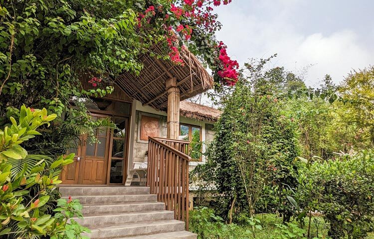 ওসমানী বিমানবন্দর থেকে ৯২ কিলোমিটার দূরে অবস্থিত বালিশিরা ইকো রিসোর্টটির বিশেষত্ব হিসেবে আপনি পাবেন নিজস্ব এয়ারপোর্ট শাটল সার্ভিস এবং প্রাইভেট সুইমিংপুলের ব্যবস্থা। তিন তারকাবিশিষ্ট এ ইকো রিসোর্টটিতে রয়েছে বিভিন্ন ক্যাটাগরির রুম, যেমন ফ্যামিলি রুম উইথ ব্যালকনি, ডিলাক্স ডাবল রুম, প্রাইভেট পুল ভিলা ইত্যাদি। অনেকগুলো রুম থেকে সামনে পাহাড়ের সবুজ দেখা যায়। সকালের কমপ্লিমেন্টারি নাশতায় রয়েছে কন্টিনেন্টাল, ভেজিটেরিয়ান মেন্যু, দুপুর এবং রাতের খাবারে দেশি খাবারের পাশাপাশি চাইনিজ মেন্যুর ব্যবস্থা থাকে। রাতে বারবিকিউয়ের সুবিধাও রয়েছে। রিসোর্টটিতে মৌসুমভেদে বিভিন্ন ধরনের প্যাকেজ এবং ডিসকাউন্ট অফার থাকে। রুমের ব্যালকনিতে বসে অদূরে পাহাড়ের গায়ে ঝিঁঝির ডাক এবং ছোট ঝরনার পানি বয়ে চলার মৃদু শব্দ শুনতে মন্দ লাগবে না। বালিশিরা রিসোর্টের কক্ষভেদে ভাড়া ১১ হাজার ৯০০ টাকা থেকে ১৩ হাজার ৯০০ টাকা পর্যন্ত হতে পারে। ছবি: ওমর ফারুক নাঈম