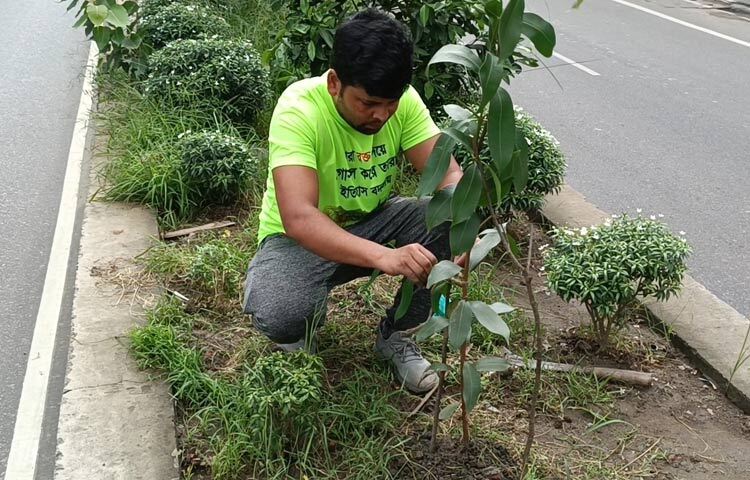 তিনি শুধু ছাদ বাগানেই সীমাবদ্ধ থাকেননি, সড়কেও অজস্র গাছ লাগিয়েছেন। অসীম বলেন, ‘শহরের তাপমাত্রা দিন দিন বৃদ্ধি পাচ্ছে। তাই আমরা যদি শহরের প্রতিটি রাস্তায় গাছ লাগাই তাহলে তাপমাত্রা কিছুটা হলেও কমবে। সিটি কর্পোরেশন আগে কিছু গাছ লাগালেও অধিকাংশ অযত্নে নষ্ট হওয়ার উপক্রম। তাই মহাখালী থেকে গুলশান পর্যন্ত ডিভাইডারে আমি অনেক গাছ রোপণ করেছি।’ ছবি: মামুনূর রহমান হৃদয়