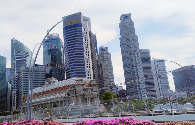 দেশটির প্রথম প্রধানমন্ত্রী লি কুয়ান ব্যাপকভাবে সবুজায়নকে সমর্থন করেন। তিনি সিঙ্গাপুরকে একটি গ্রীষ্মমণ্ডলীয় উদ্যান নগরীতে পরিণত করার পরিকল্পনা প্রণয়ন করেন। ছবি:  এম মাঈন উদ্দিন