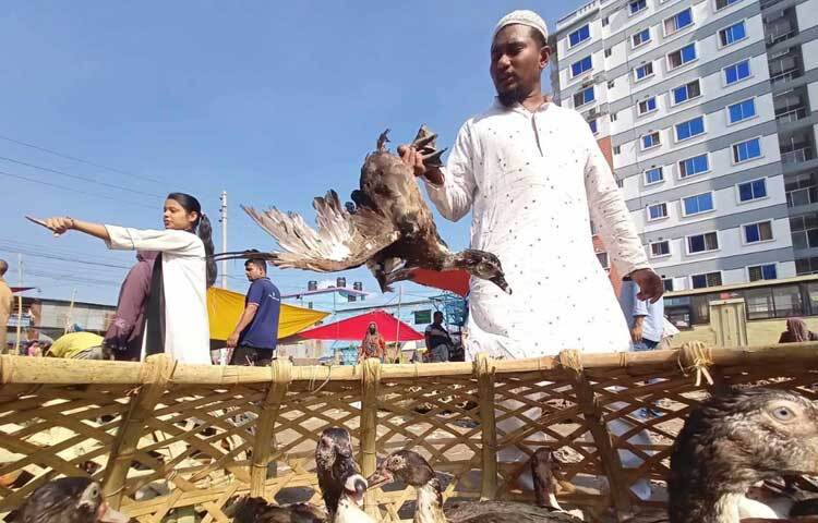 হাতিরঝিলের শেষ সীমানায় রামপুরা ব্রিজের নিচ থেকে এই নড়াই নদী তথা রামপুরা খালের শুরু। যা আফতাবনগর-বনশ্রীর মাঝ দিয়ে আরও পূর্ব দিক দিয়ে বয়ে গেছে। তবে, স্থানীয়দের অভিযোগ হাটের মূল অংশ দখল করে সেখানে অবৈধ স্থাপনা গড়ে উঠেছে।