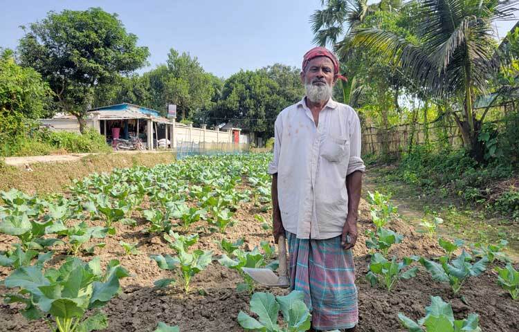 ৭০ বছর বয়সেও পরিবারের হাল ধরে আছেন এই কৃষক।