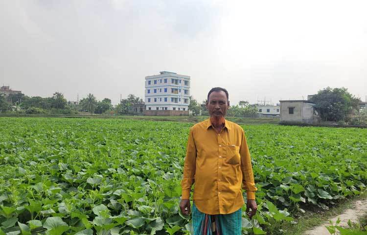 বিগত বছরগুলোর চেয়ে এবার বেশি লাভবান হবেন বলে আশাবাদী এই অভিজ্ঞ কৃষক।