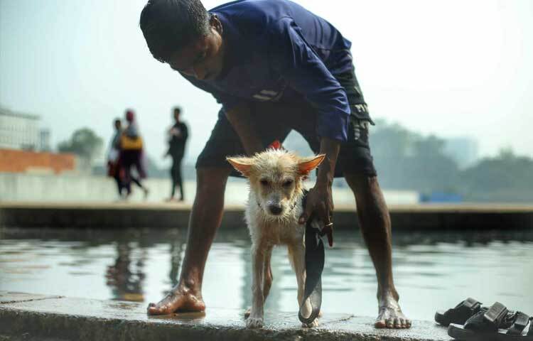 সোহরাওয়ার্দী উদ্যানে থাকেন রতন নামের এক যুবক। তার সঙ্গী ‘টাইসন’ নামের একটি কুকুর।