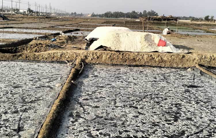 চাষিরা বলেন, ‘মৌসুমের শুরুতে ভালো লবণ উৎপাদন হচ্ছে। তবে ন্যায্য মূল্য পাওয়া যাচ্ছে না। আমরা চাষিরা দুশ্চিন্তার মধ্যে আছি।’
