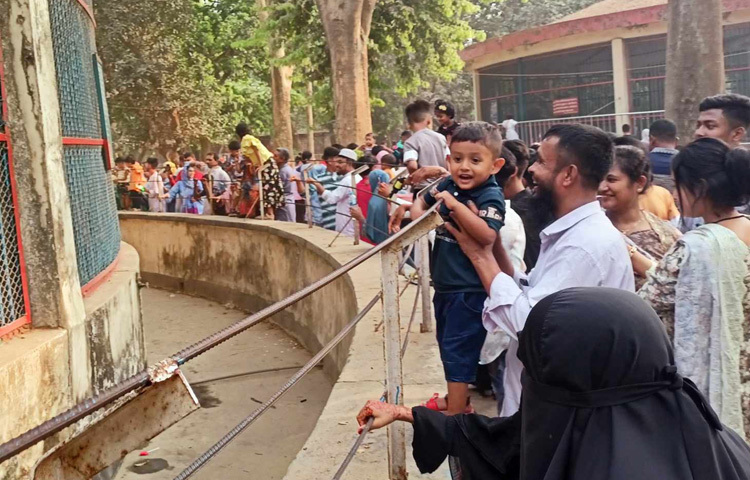 বাবা-মায়ের সঙ্গে চিড়িয়াখানা দেখতে এসেছে ছোট্ট শিশুটি।