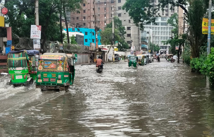 উত্তর চর্থা এলাকার শিরিনা বেগম নামের এক নারী জানান, গত দুই দিনের বৃষ্টিতে ঘরে হাঁটু সমান পানি। এতে সব কিছু নষ্ট হয়ে গেছে। যে পরিমান বৃষ্টি হয়েছে এতে পানি জমার কথা নয়। কারণ সিটি করপোরেশন নিয়মিত ড্রেন পরিষ্কার না করায় পানি আটকে বারবার বাসায় পানি ঢুকছে। আমরা স্থায়ীভাবে এর সমাধান চাই।