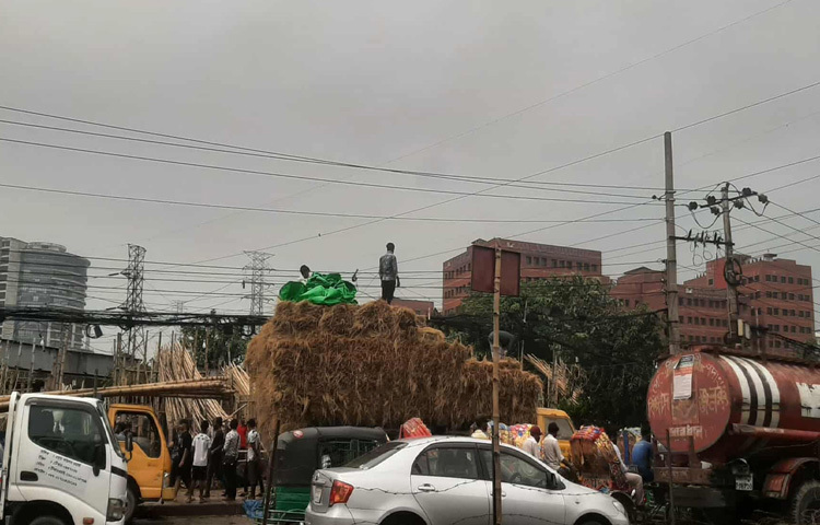 ঢাকার বিভিন্ন এলাকায় ঘুরে দেখা গেছে, কোরবানির পশুর জন্য ঘাস, খুড়, ছোলা, ভুসি, খৈল, চিটা ভাত বা খড় কিনতে হিমশিম খাচ্ছেন ক্রেতারা। এর মধ্যে সবচেয়ে বেশি চমক দিচ্ছে ঘাসের দাম।