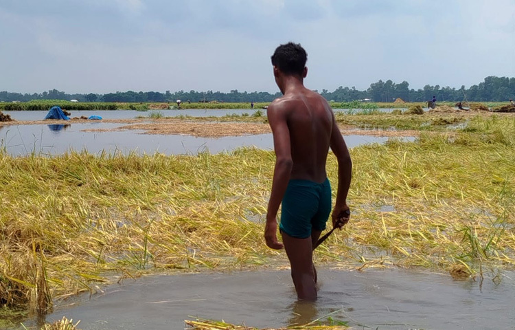 একদিকে চোখের সামনে ফসল তলিয়ে যাওয়া, অন্যদিকে ভবিষ্যতের অনিশ্চয়তা-এই দুই মিলে নিঃশব্দ এক বিপর্যয়ে নিমজ্জিত শাহজাদপুরের কৃষিজীবী মানুষ।
