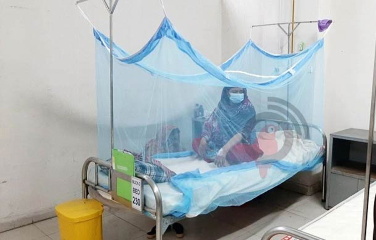 দেশে পাল্লা দিয়ে বাড়ছে ডেঙ্গু। গত ২৪ ঘণ্টায় ডেঙ্গুজ্বরে আক্রান্ত হয়ে সারাদেশে আরও ২৮৮ জন হাসপাতালে ভর্তি হয়েছেন। তাদের মধ্যে ২৬১ জনই বরিশালের বাসিন্দা। তবে এ সময় নতুন করে কারো মৃত্যুর তথ্য পাওয়া যায়নি। ছবি: জাগো নিউজ