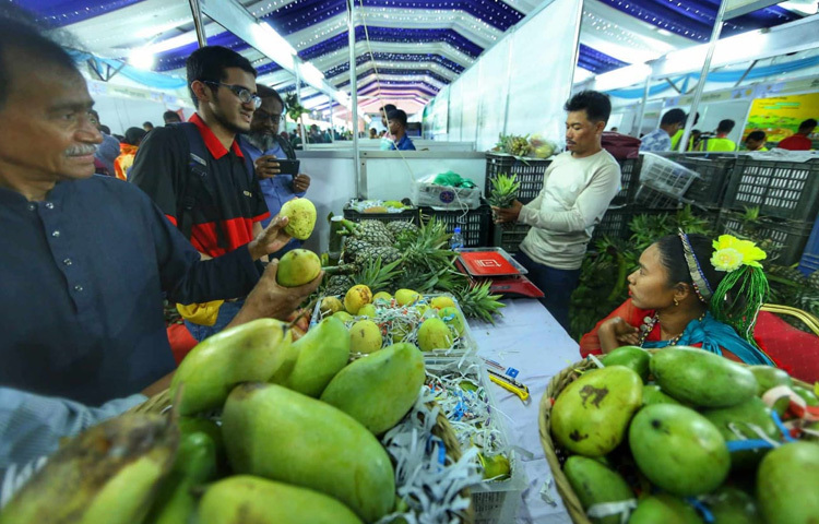 শুধু কেনাকাটা নয়, অনেকেই এসেছেন ছবি তুলতে, ঘোরাঘুরি করতে, ফল সম্পর্কিত সচেতনতা নিতে। ফলপ্রেমীদের জন্য এক রকম স্বাস্থ্যসচেতন আনন্দভ্রমণ যেন এই মেলা।