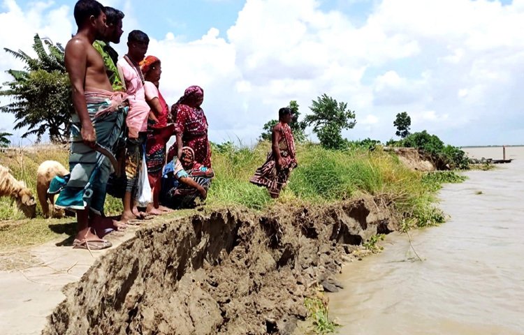 All in all, the people of the Padma Char area are spending their days in worry and fear as the Padma River's erosion has suddenly increased sharply.