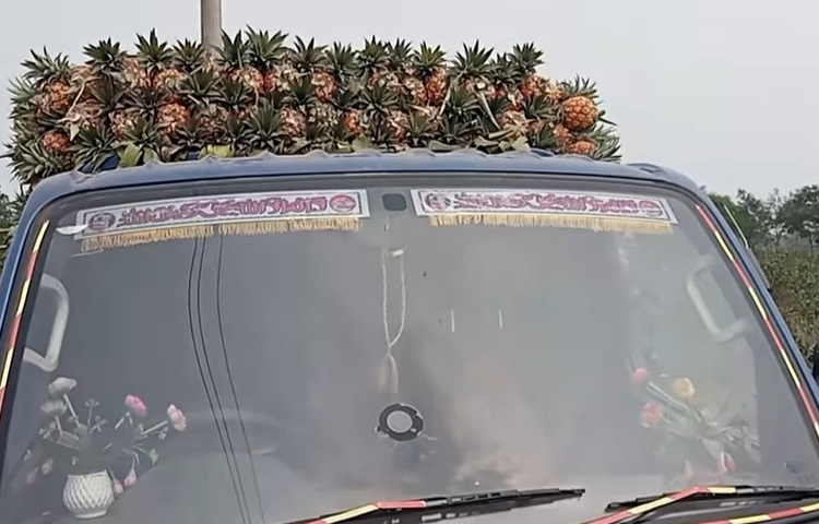 অনেক কৃষক আনারস পাকার আগেই পুরো খেতের কাঁচা আনারস পাইকারদের কাছে বিক্রি করেছেন। অসাধু পাইকাররা ক্ষেতের সব আনারস দ্রুত পাকাতে শ্রমিকদের মাধ্যমে ইচ্ছামতো রাসায়নিক প্রয়োগ করছেন। আনারসগুলো ঢাকাসহ বিভিন্ন বাজারে নিয়ে বিক্রি করে পাইকারদের পকেট ভারী করা হচ্ছে।