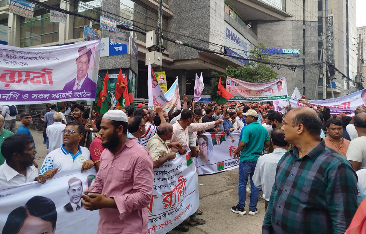 এর আগে ৫ আগস্ট সারা দেশের উপজেলা/থানা পর্যায়ে এবং ৬ আগস্ট ঢাকাসহ মহানগর পর্যায়ে বিজয় র‍্যালি কর্মসূচি ঘোষণা করে বিএনপি।