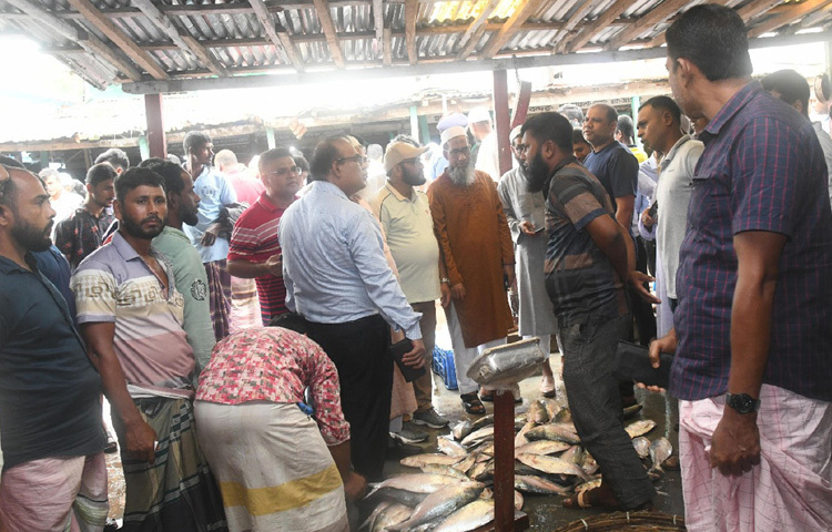 পটুয়াখালীতে মহিপুর মৎস্য আড়ত পরিদর্শন করেন মৎস্য অধিদপ্তরের মহাপরিচালক ড. মো. আবদুর রউফ। ছবি: পিআইডি