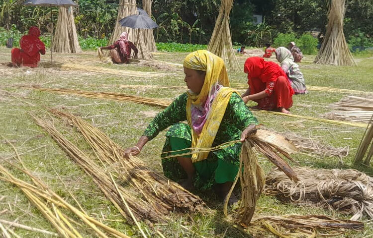 উপজেলার মুলাডুলি ইউনিয়নের সরাইকান্দি, মুলাডুলি, শ্রীপুর, নিকটহাটা, শেখপাড়া, দাশুড়িয়ার মারমী, সুলতানপুর, ডিগ্রীপাড়া এলাকা ঘুরে দেখা যায়, পাটের আঁশ ছাড়ানোর ধুম পড়েছে। অনেক নারী-পুরুষ পাটের আঁশ ছাড়ানো, ধোয়া ও শুকানোর কাজ করছেন।