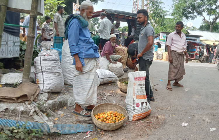 ঝালকাঠি কৃষি সম্প্রসারণ অধিদপ্তর উপ-পরিচালক আব্দুল্লাহ আল মামুন বলেন, আমরা কৃষি সম্প্রসারণ অধিদপ্তর থেকে চেষ্টা করছি সুপারির সুপরিকল্পিত চাষাবাদ করার। আমাদের অর্থনীতিতে যেন আরও অবদান রাখতে পারে সেভাবে চাষ করার জন্য আমরা কৃষকদের উদ্বুদ্ধ করছি।