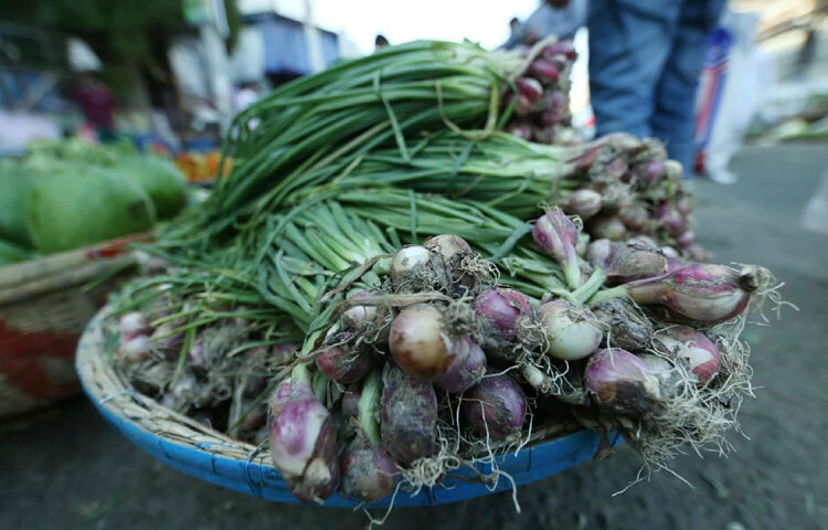 কলিসহ পেঁয়াজ মিলছে ৬০ টাকায়