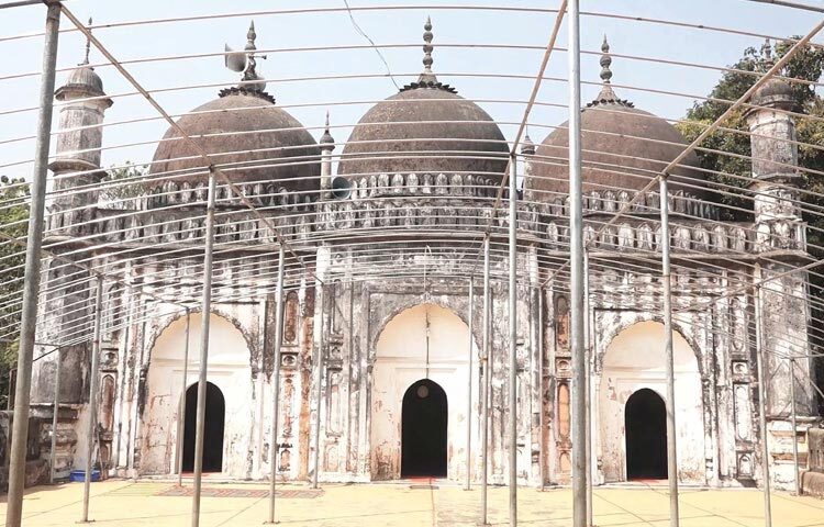 সুদৃশ্য পাঁচটি গম্বুজ আছে ঝাউদিয়া শাহী মসজিদে। চার কোণায় আছে চারটি নান্দনিক মিনার। প্রবেশ দরজায়ও দুটি মিনার আছে। এটি অপূর্ব শৈল্পিক কারুকার্য সম্বলিত স্থাপনা, যা সহজেই মুগ্ধ করে।